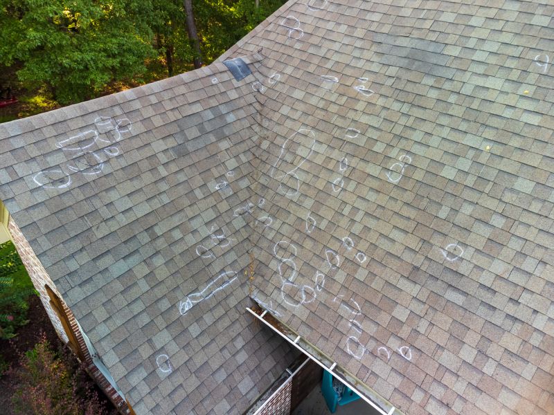Comprehensive Roof Assessment